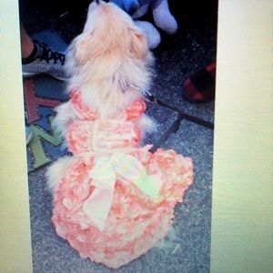 Prom Dress Harness for your Diva Dog